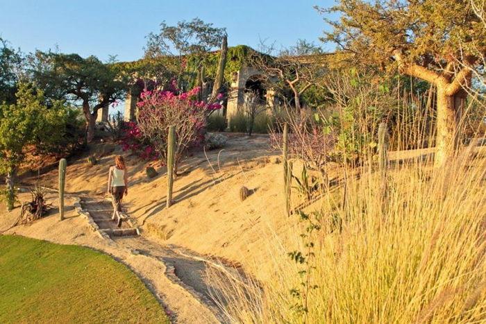 Palmilla luxury properties